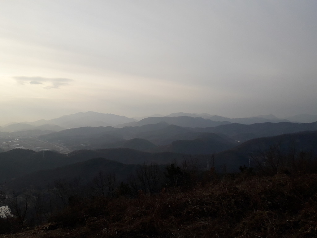 남지강변횟집 이미지