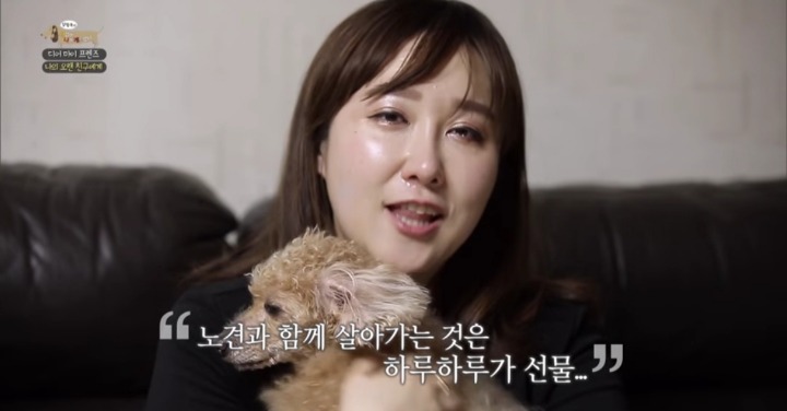 [세나개] 여러분에게 노견은 어떤 의미인가요? | 인스티즈
