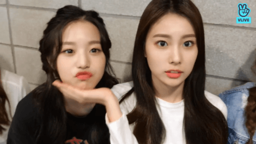 아이즈원) 예쁜애 옆에 예쁜애 옆에 예쁜애(공략당한 장원영).gif | 인스티즈