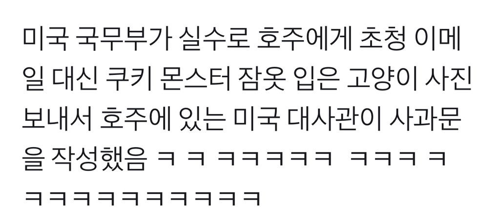 실수로 초청장 대신 고양이 사진을 보낸 미국 국무부 | 인스티즈