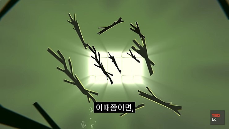  어느날 모든 인류가 갑자기 사라진다면.jpg | 인스티즈