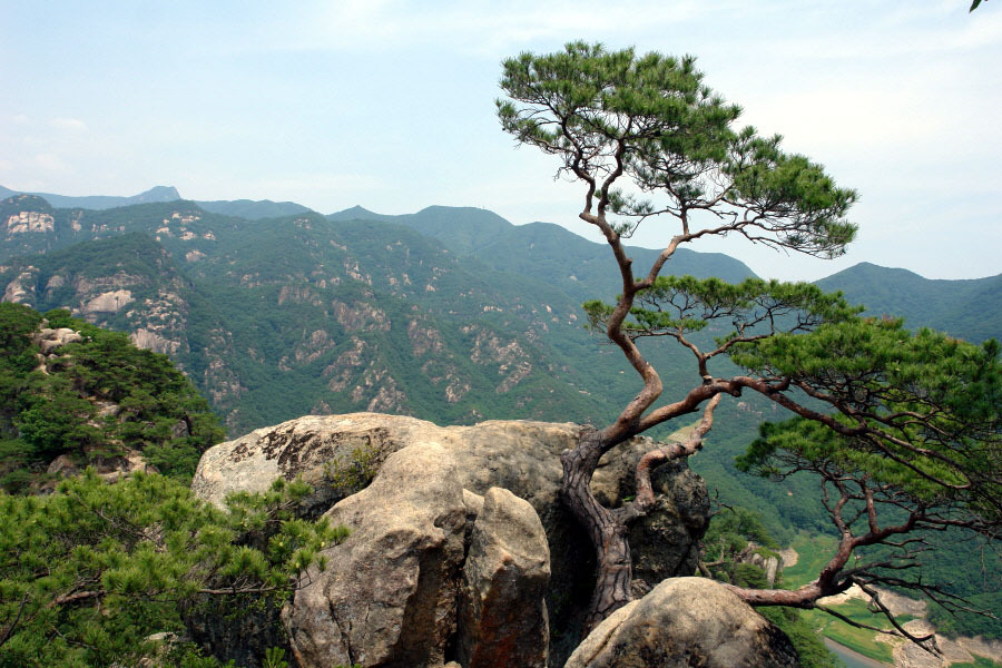 수석이용원 이미지
