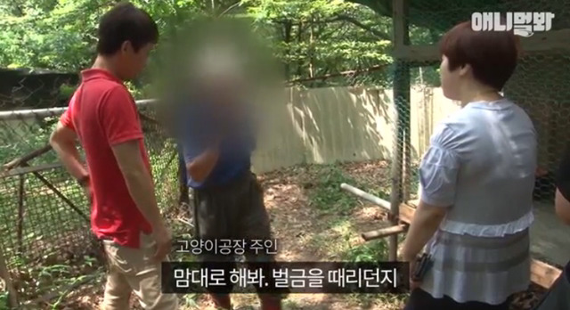 고양이 공장도 없애야됨 | 인스티즈