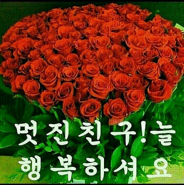 천년지기 이미지