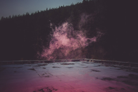  항상 저 쪽이 환하다 | 인스티즈