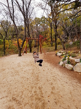 진해 유아숲체험원 이미지
