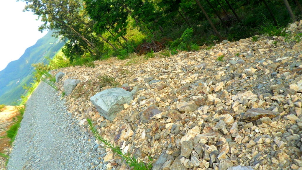 억불산 정상 전망대 편백숲 우드랜드 - 정남진 장흥 으로 오세요 천관산 사자산 제암산 - 서울산이조아 억불산 정상 전망대 편백숲 우드랜드 