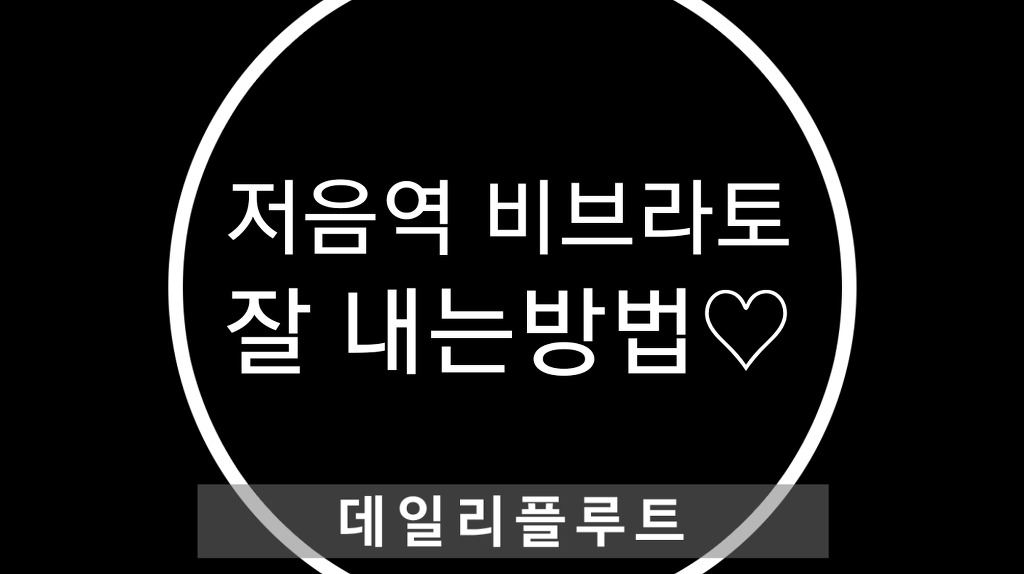 저음역 비브라토 잘 내는 방법♡플루트연주법♡플루트배우기♡:11월 9일 데일리플루트365 - [종영]데일리플루트 365 - 플룻전문동호회... 